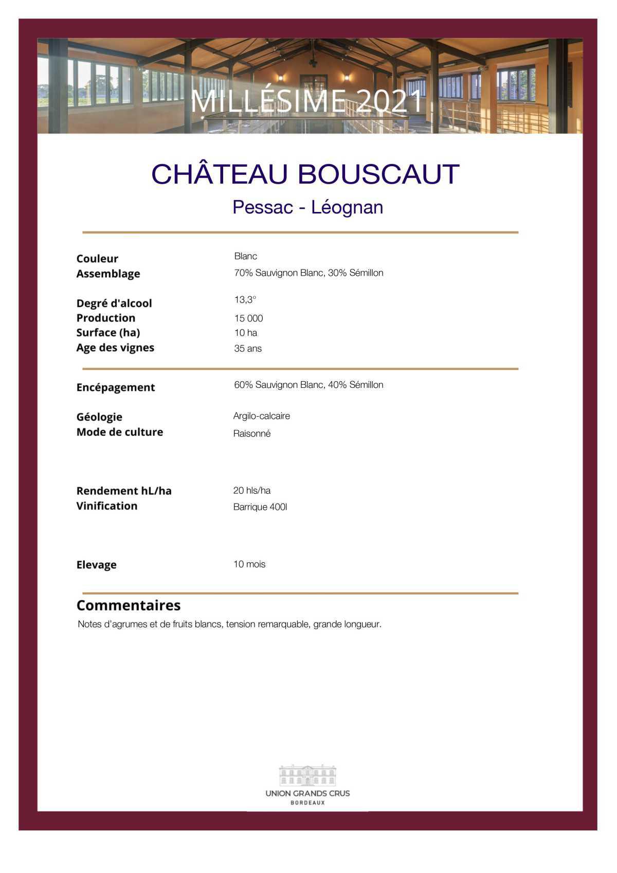 Château Bouscaut - Blanc