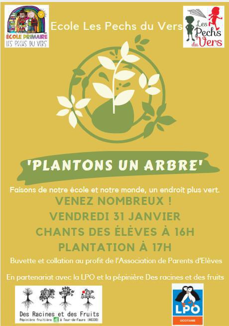 Plantons un arbre