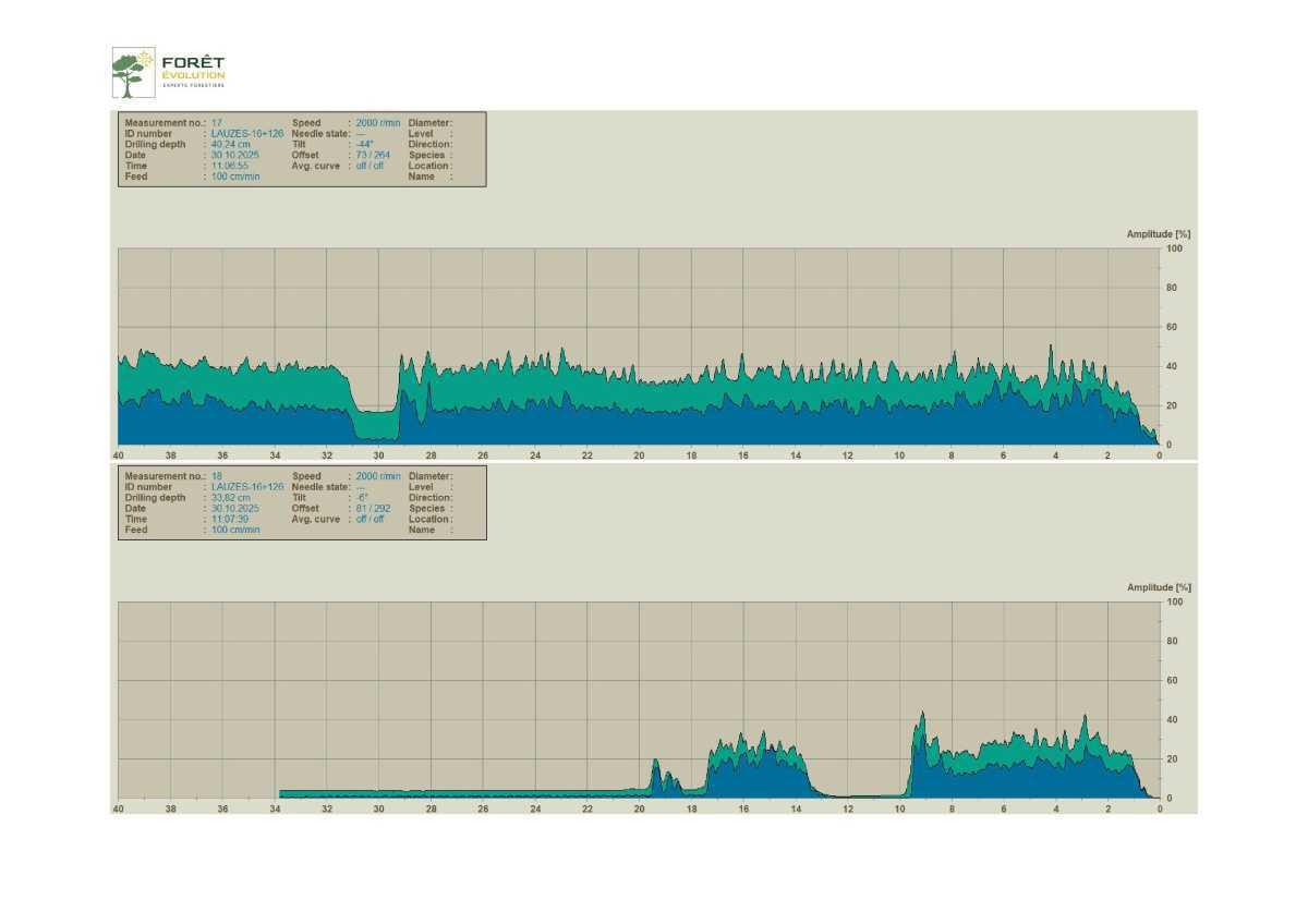 Des marronniers se meurent place de l'église Des marronniers se meurent place de l'église