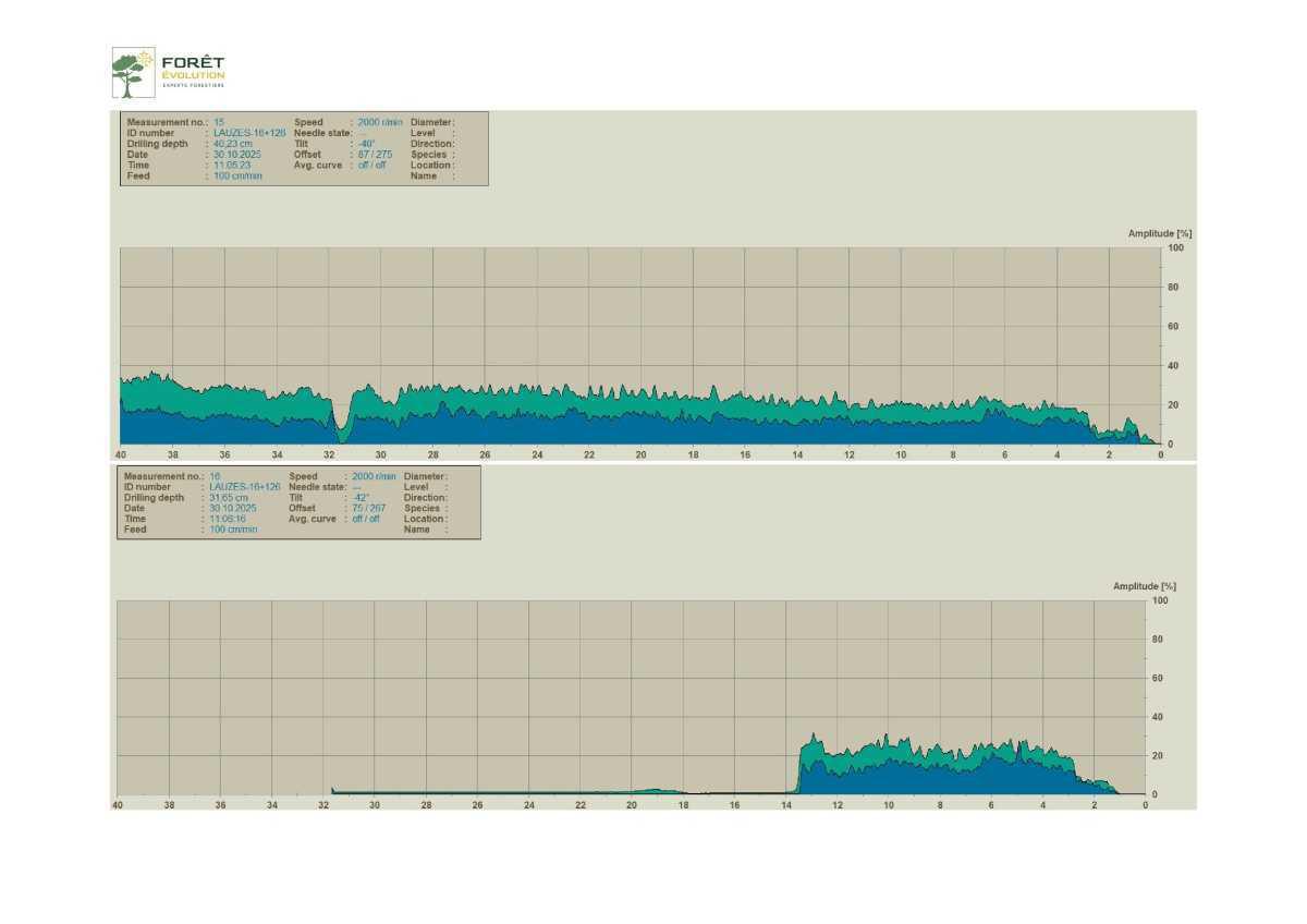 Des marronniers se meurent place de l'église