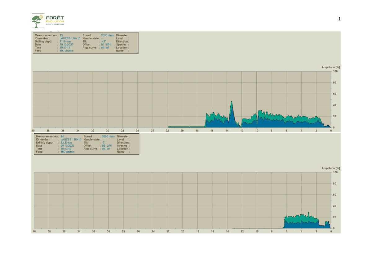 Des marronniers se meurent place de l'église Des marronniers se meurent place de l'église