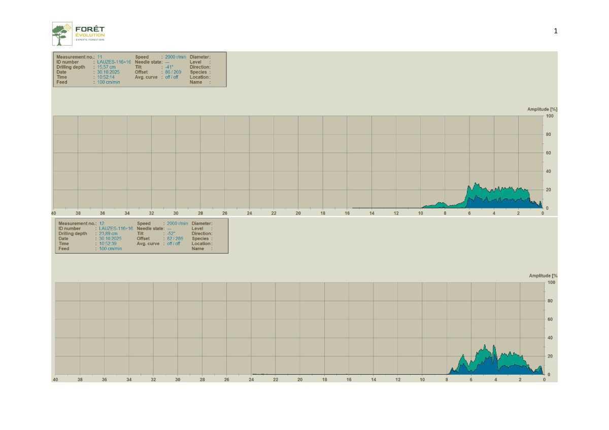 Des marronniers se meurent place de l'église
