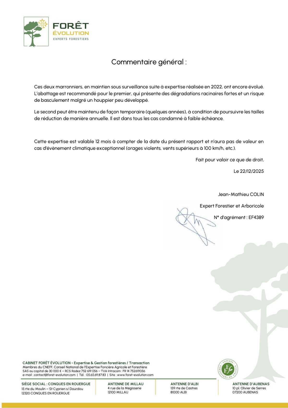 Des marronniers se meurent place de l'église Des marronniers se meurent place de l'église