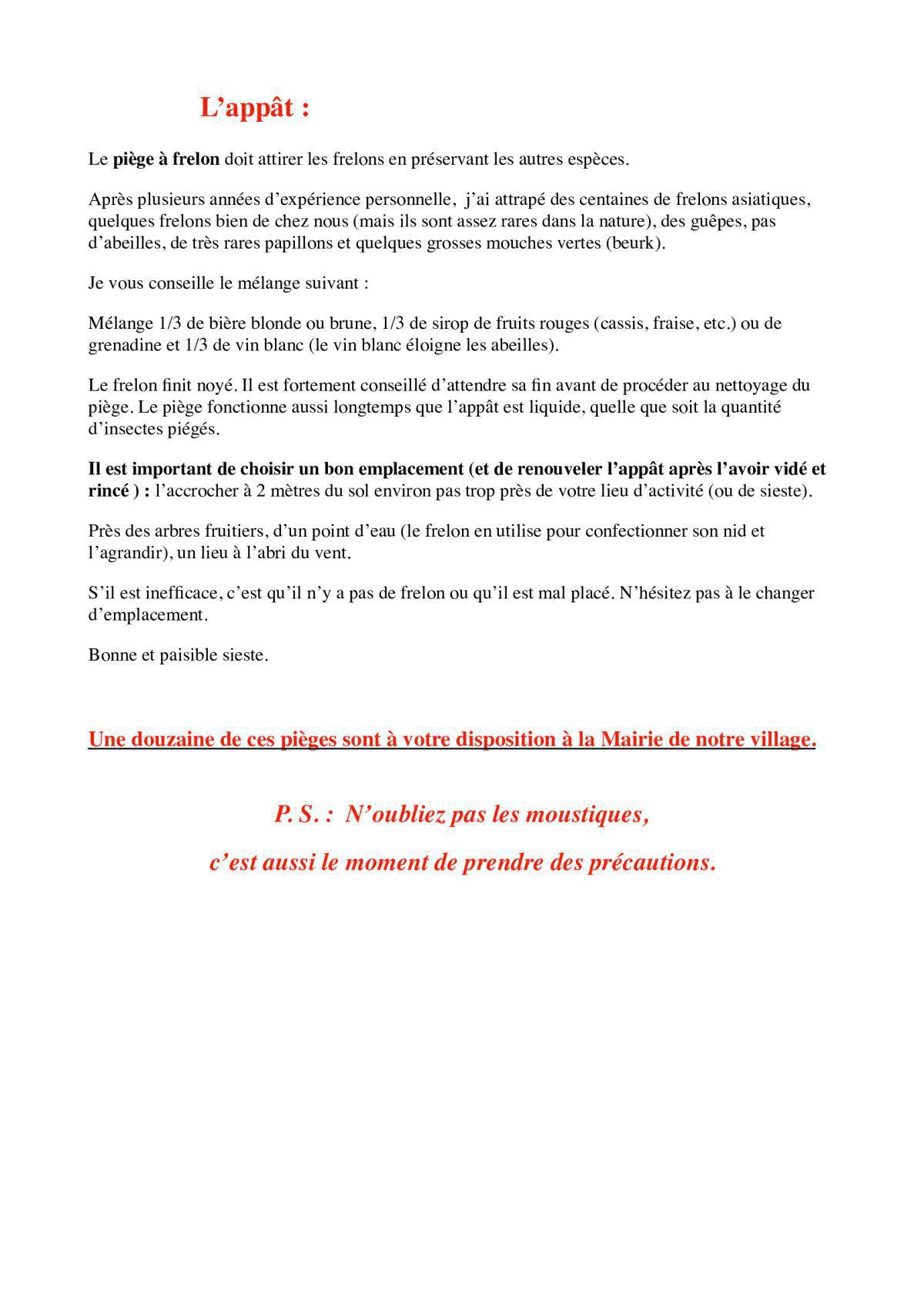 Sus à l'ennemi ! Le frelon asiatique... et autres pénibles
