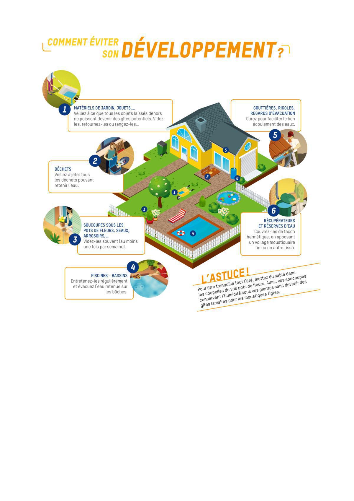 Sus à l'ennemi ! Le frelon asiatique... et autres pénibles