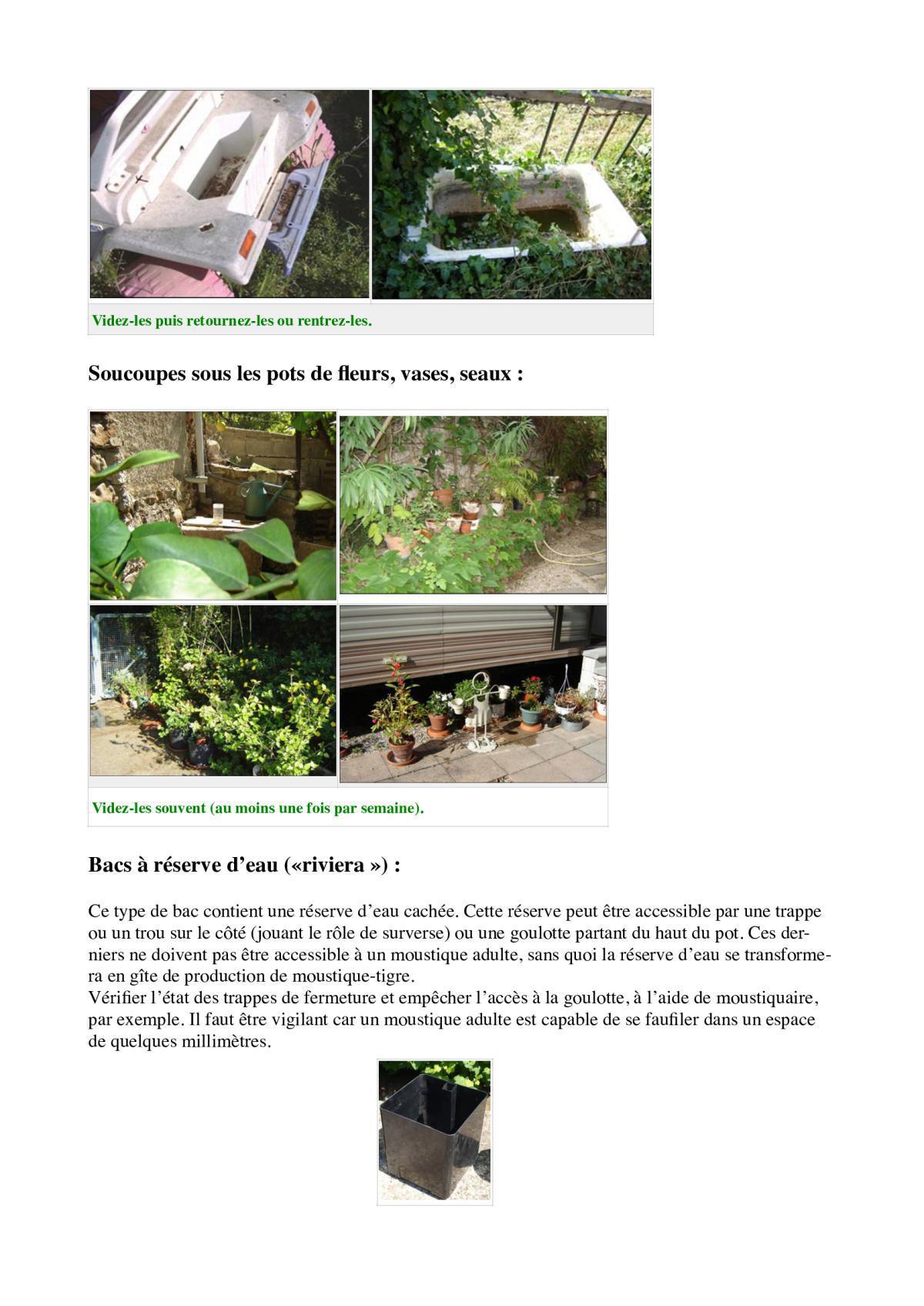 Sus à l'ennemi ! Le frelon asiatique... et autres pénibles