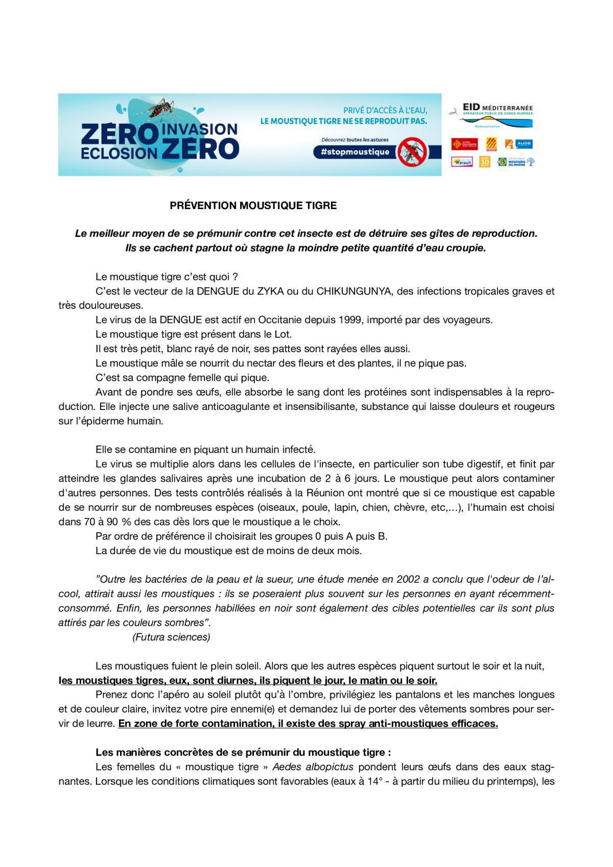 Sus à l'ennemi ! Le frelon asiatique... et autres pénibles