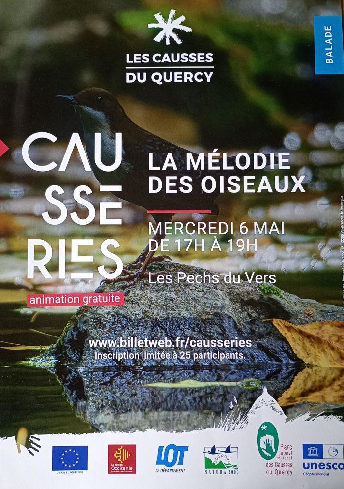 La mélodie des oiseaux de Saint Cernin