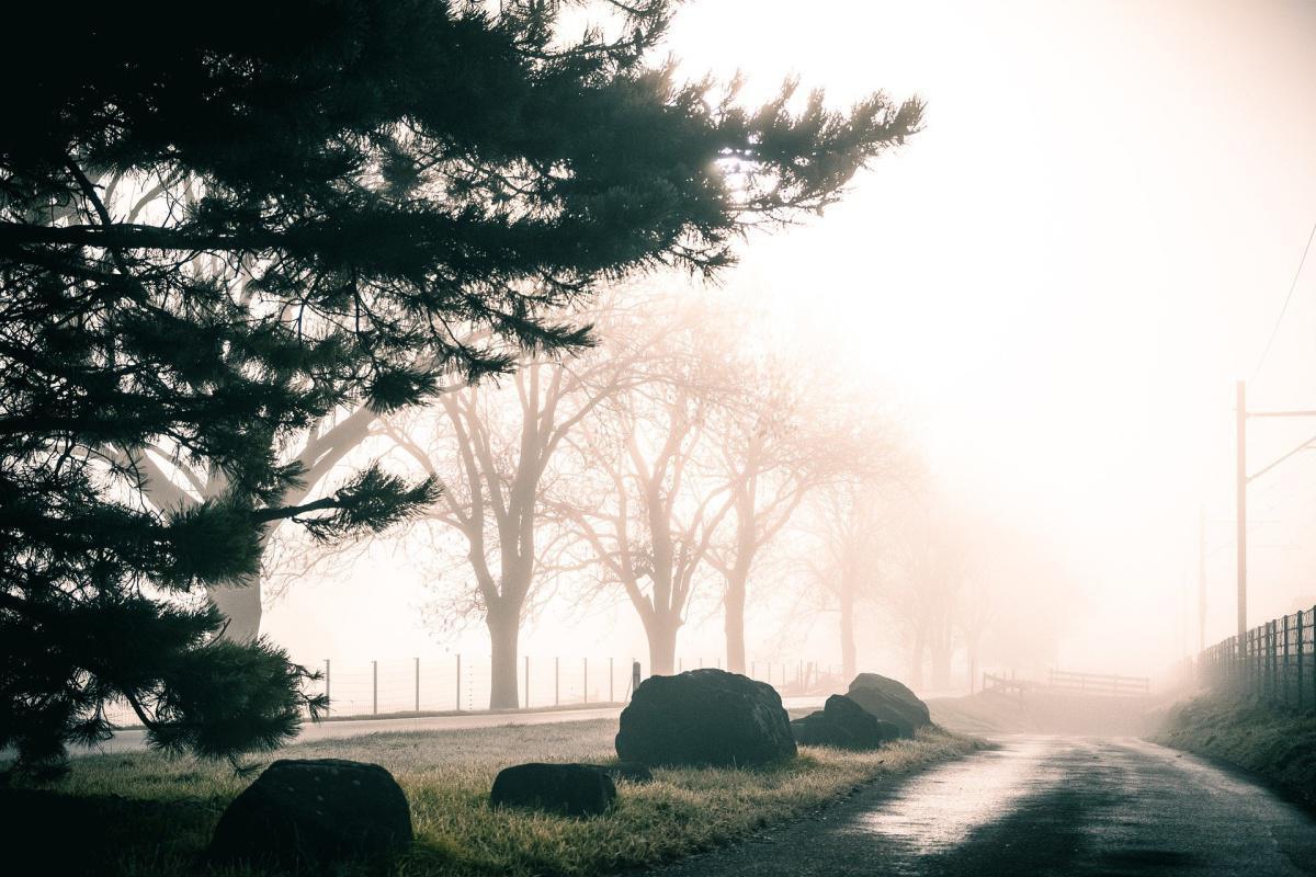 Das Verzeihen Das Verzeihen