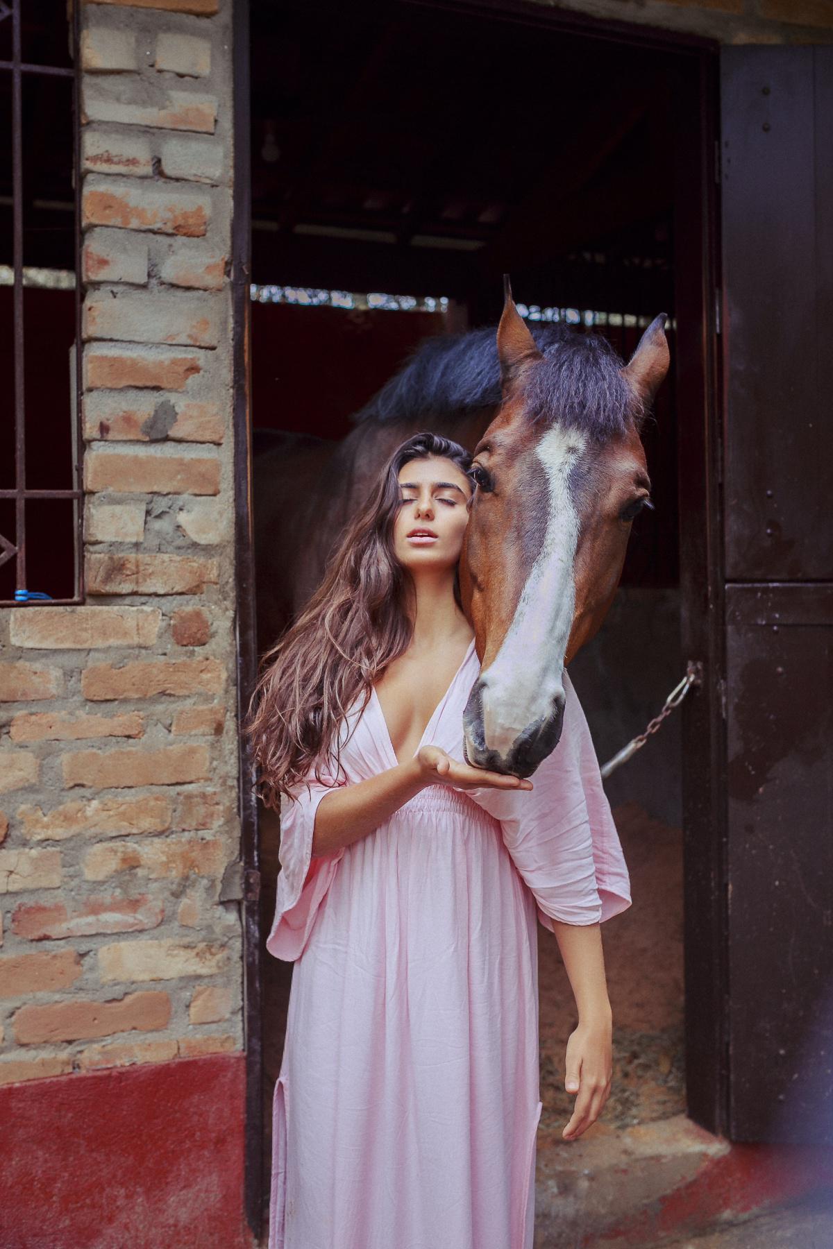 Pferd, Bambus und Wind Pferd, Bambus und Wind