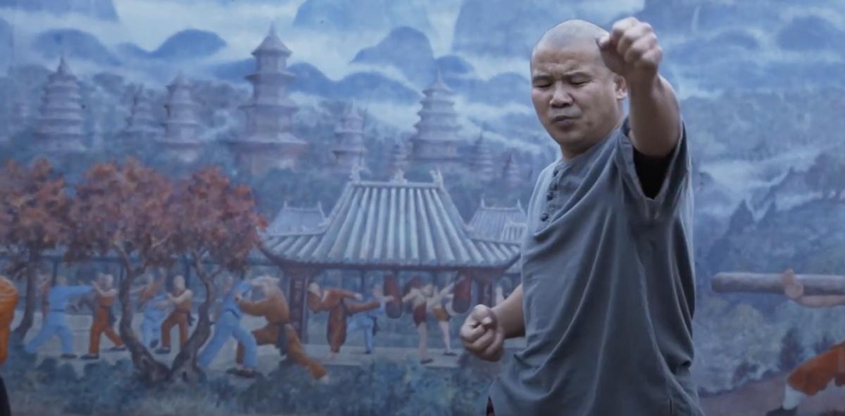 VIDEO: Powerful Shaolin Kung Fu Punch