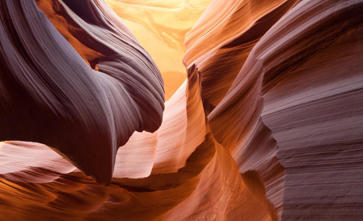 Die Schönheit der Natur Die Schönheit der Natur