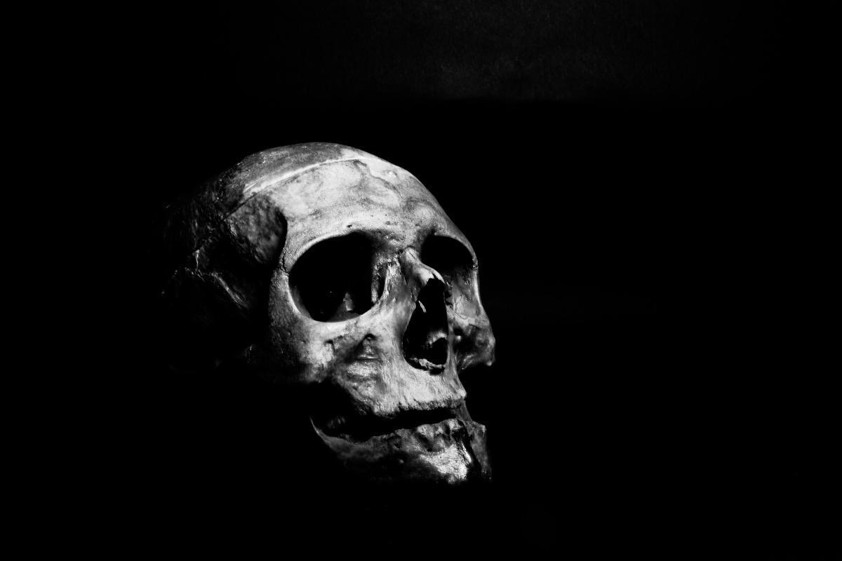 Der Tod Der Tod
