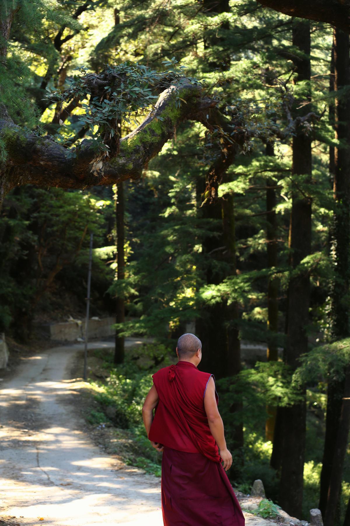 Der neue Abt Der neue Abt