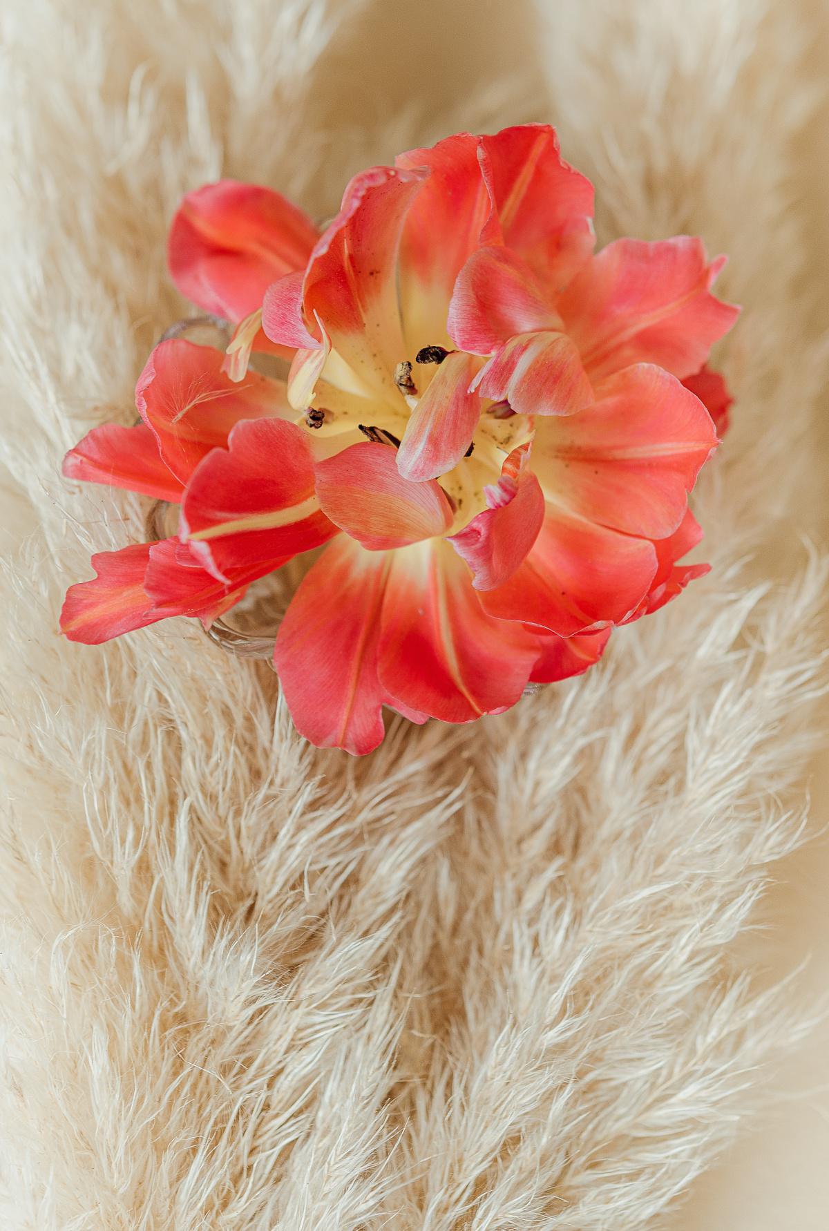 Der Schalter ist in uns! Der Schalter ist in uns!