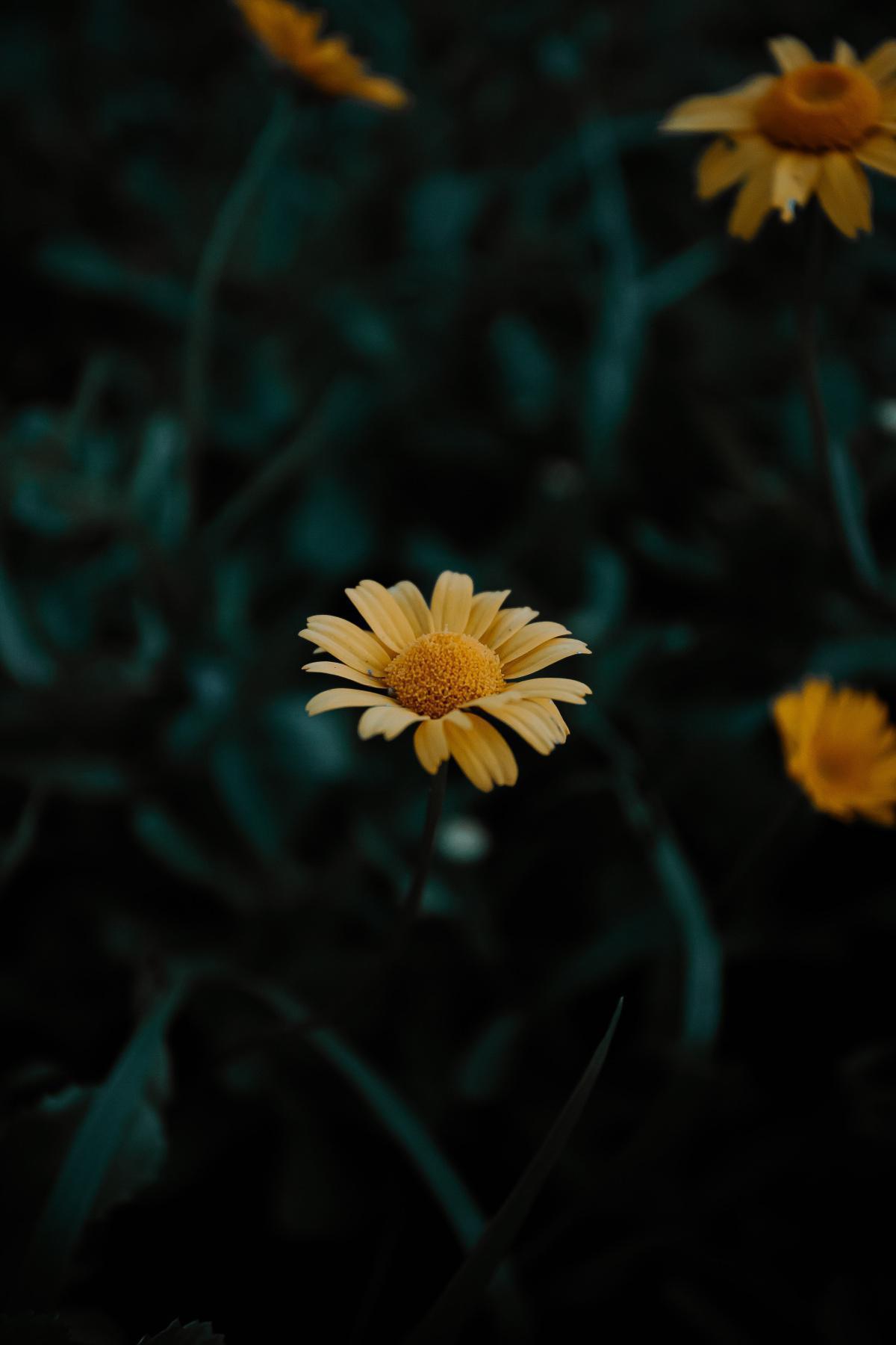 Orte der Einsamkeit Orte der Einsamkeit