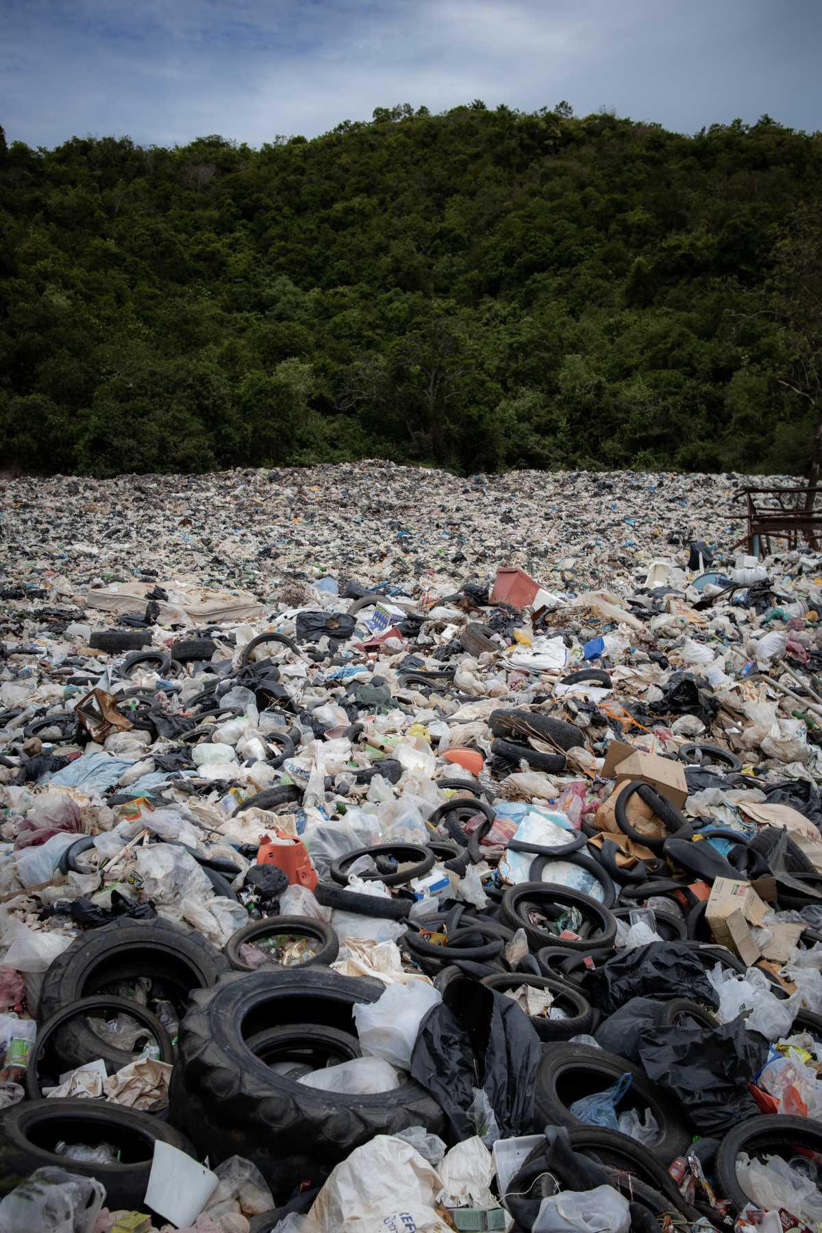 Mikroplastik - ganz fantastisch