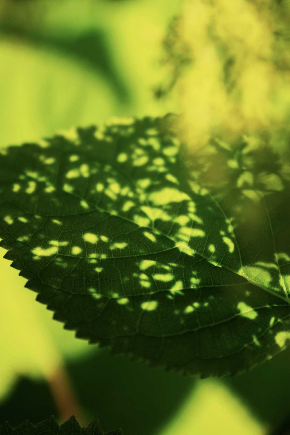 Als ich versucht habe jemand zu sein der ich nicht bin … Als ich versucht habe jemand zu sein der ich nicht bin …