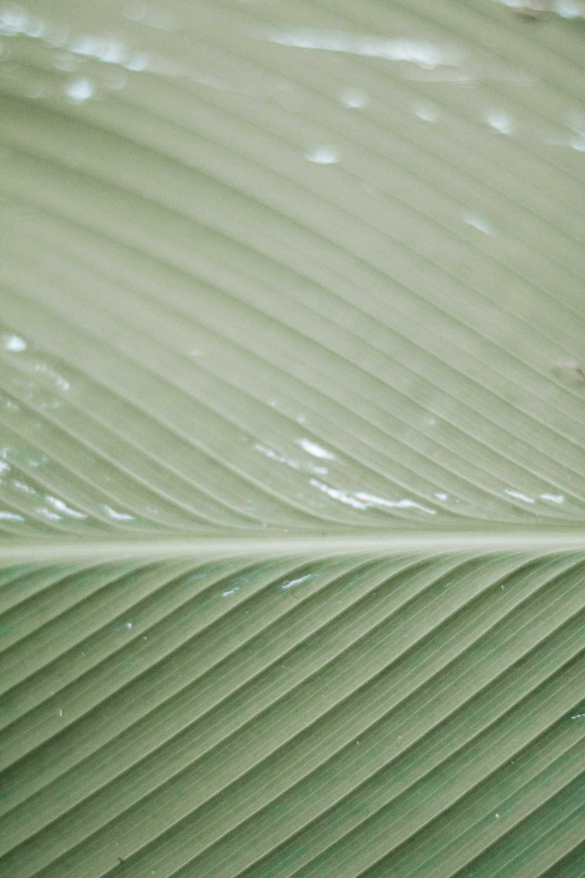 Als ich versucht habe jemand zu sein der ich nicht bin … Als ich versucht habe jemand zu sein der ich nicht bin …