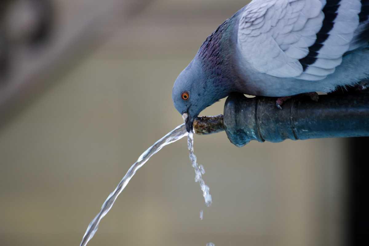 Der Zyklus des Wassers Der Zyklus des Wassers