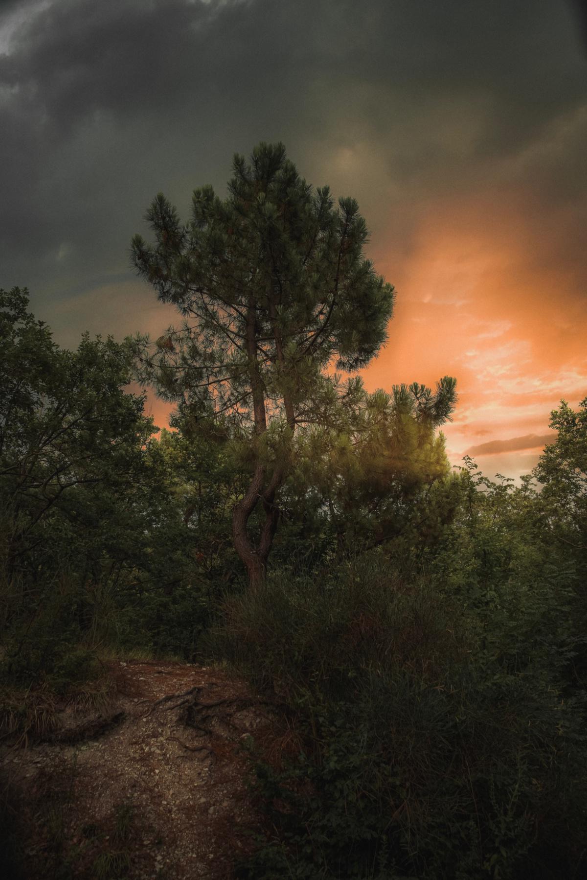 Mitgefühl ist ein Gefühl Mitgefühl ist ein Gefühl