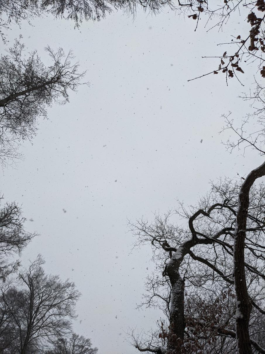 Wie man loslässt I Wie man loslässt I