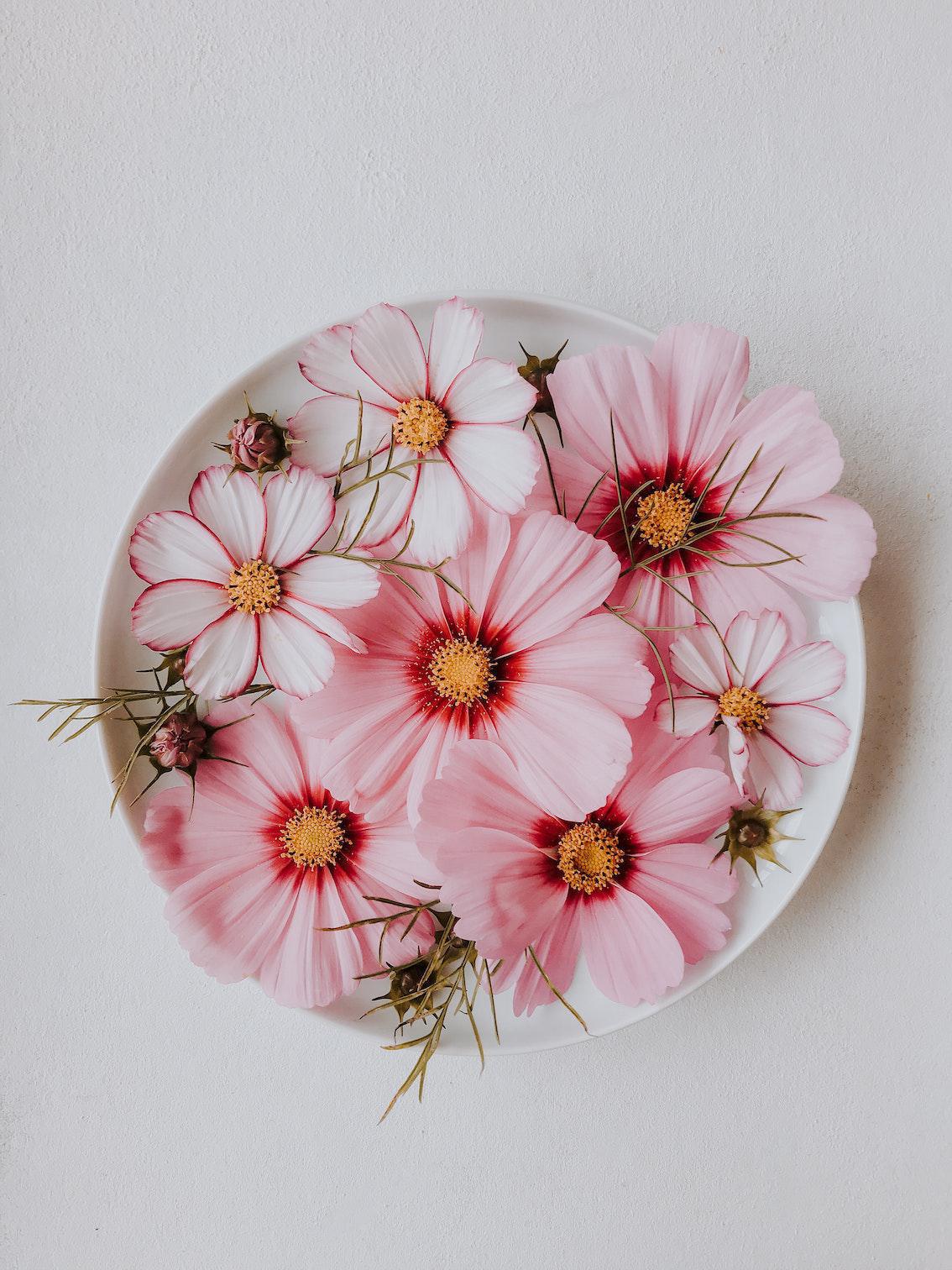 Buddha-Blog-Podcast Folge 41 Buddha-Blog-Podcast Folge 41