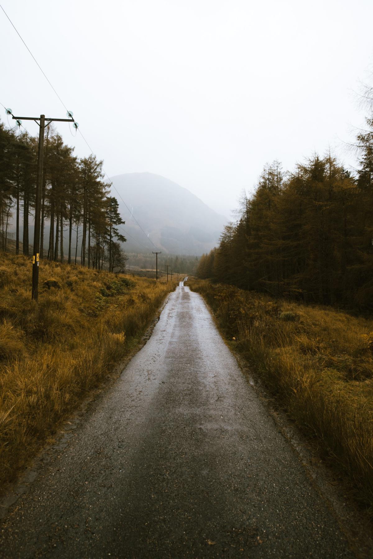 Die vier Furchtlosigkeiten des Buddha Die vier Furchtlosigkeiten des Buddha