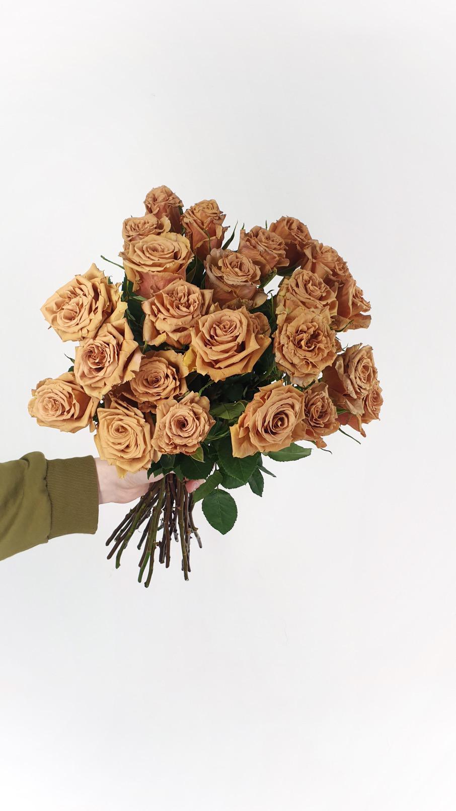 Gibt es ein "Deja Vu"? Gibt es ein "Deja Vu"?