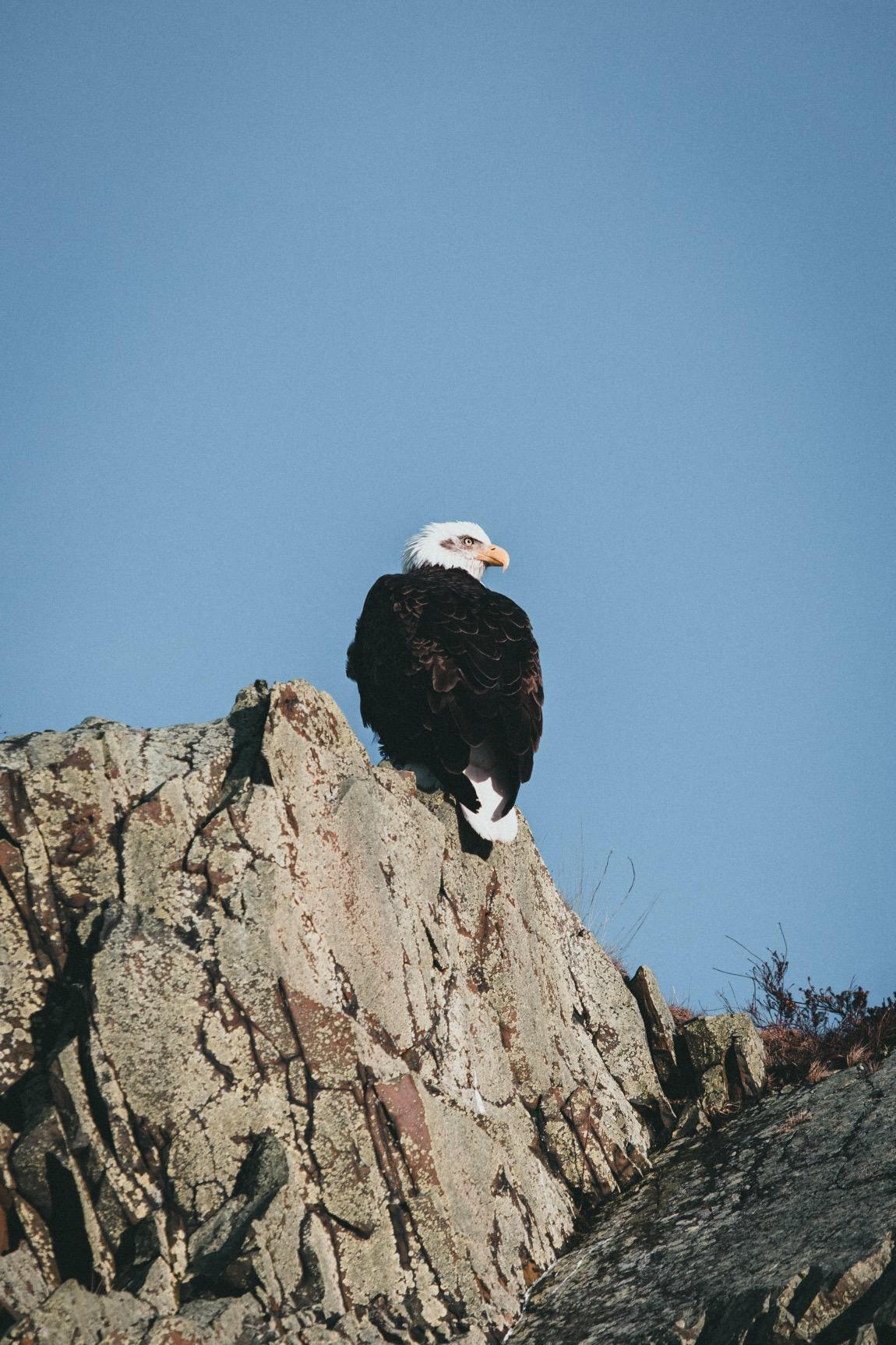 Selbstliebe Teil 1 Selbstliebe Teil 1