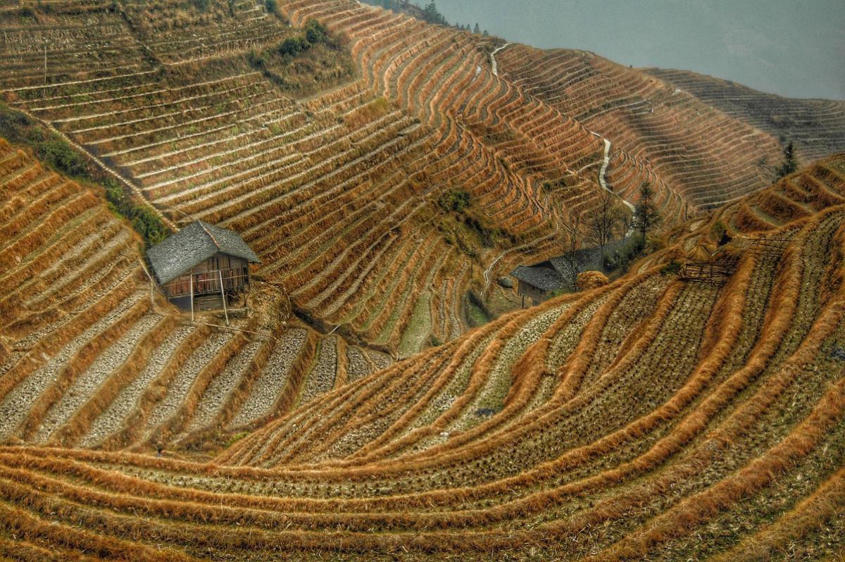 Geschichten aus China Geschichten aus China