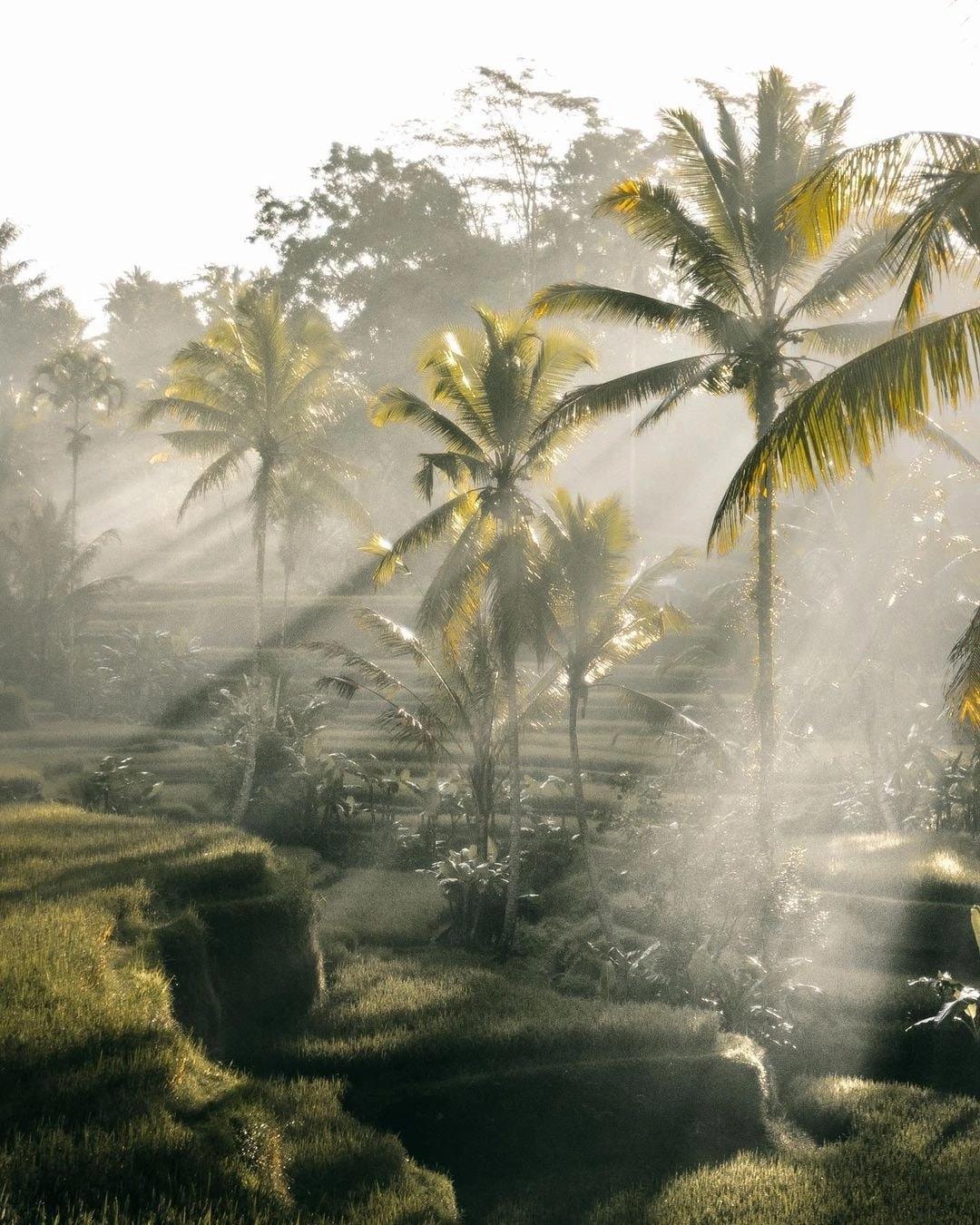 Aus schlecht wird gut Aus schlecht wird gut