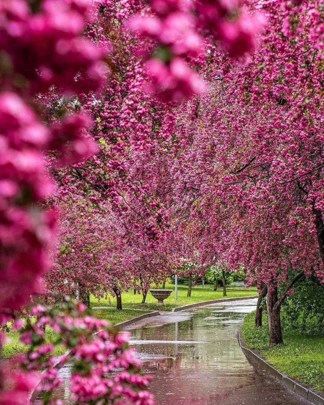 Aus schlecht wird gut Aus schlecht wird gut