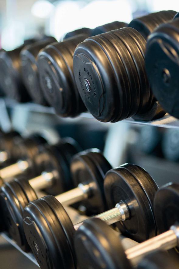 Sport macht nicht nur Muckis