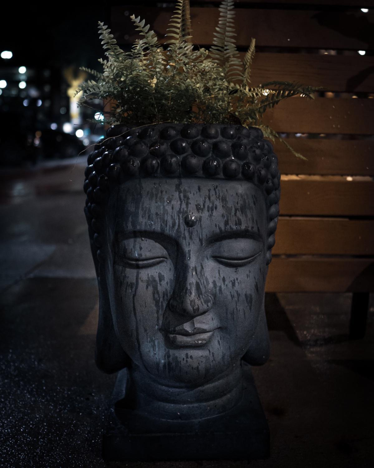 Buddhismus in Asien und Europa
