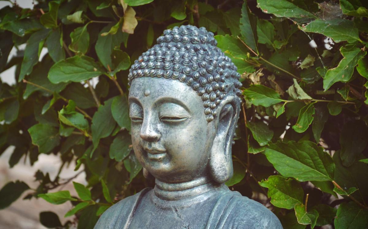 Buddhismus in Asien und Europa