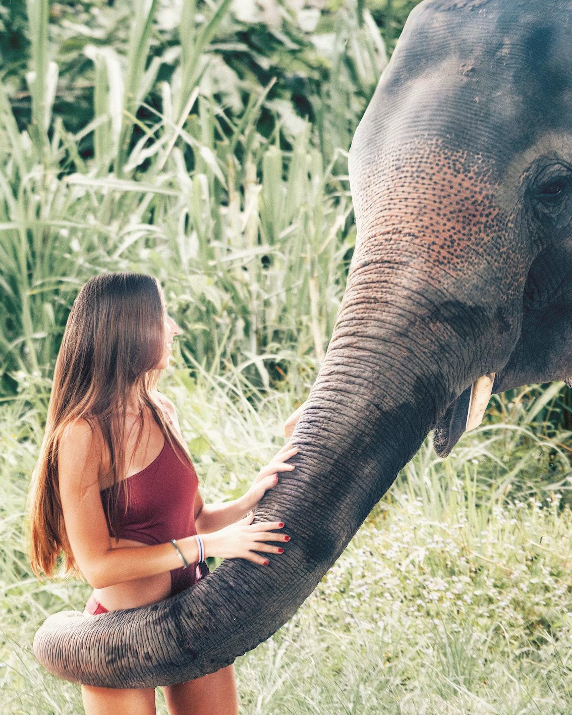 5 Blinde und 1 Elefant 5 Blinde und 1 Elefant