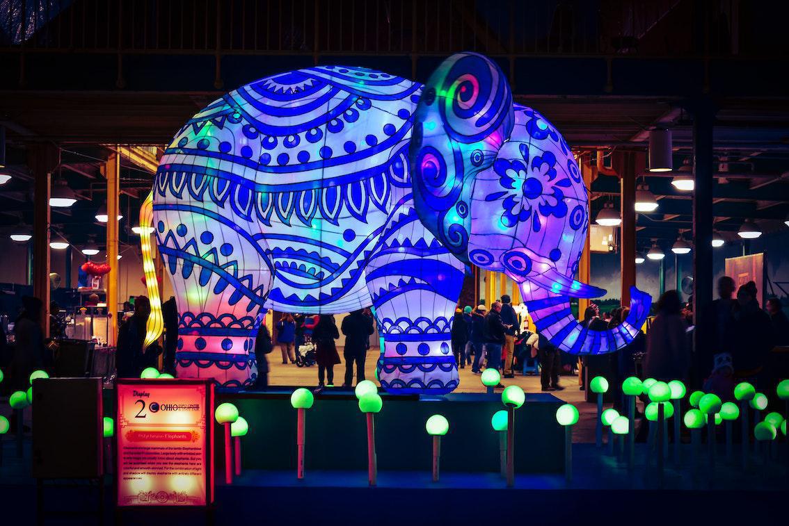 5 Blinde und 1 Elefant 5 Blinde und 1 Elefant
