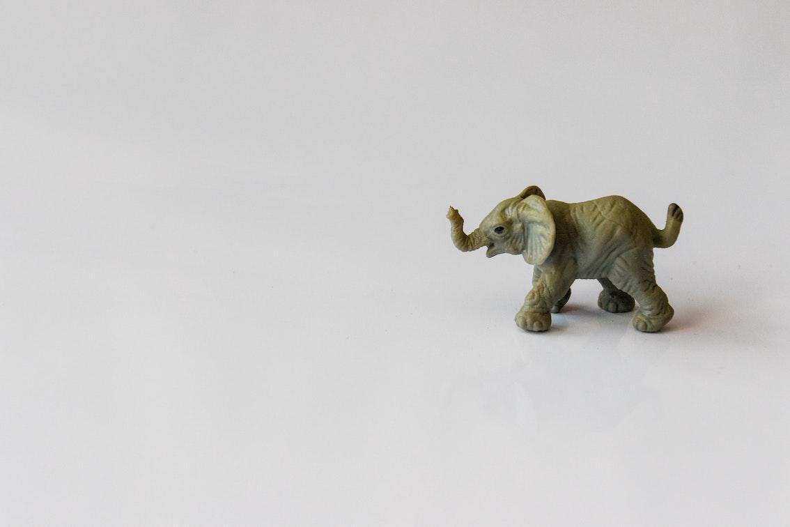 5 Blinde und 1 Elefant 5 Blinde und 1 Elefant