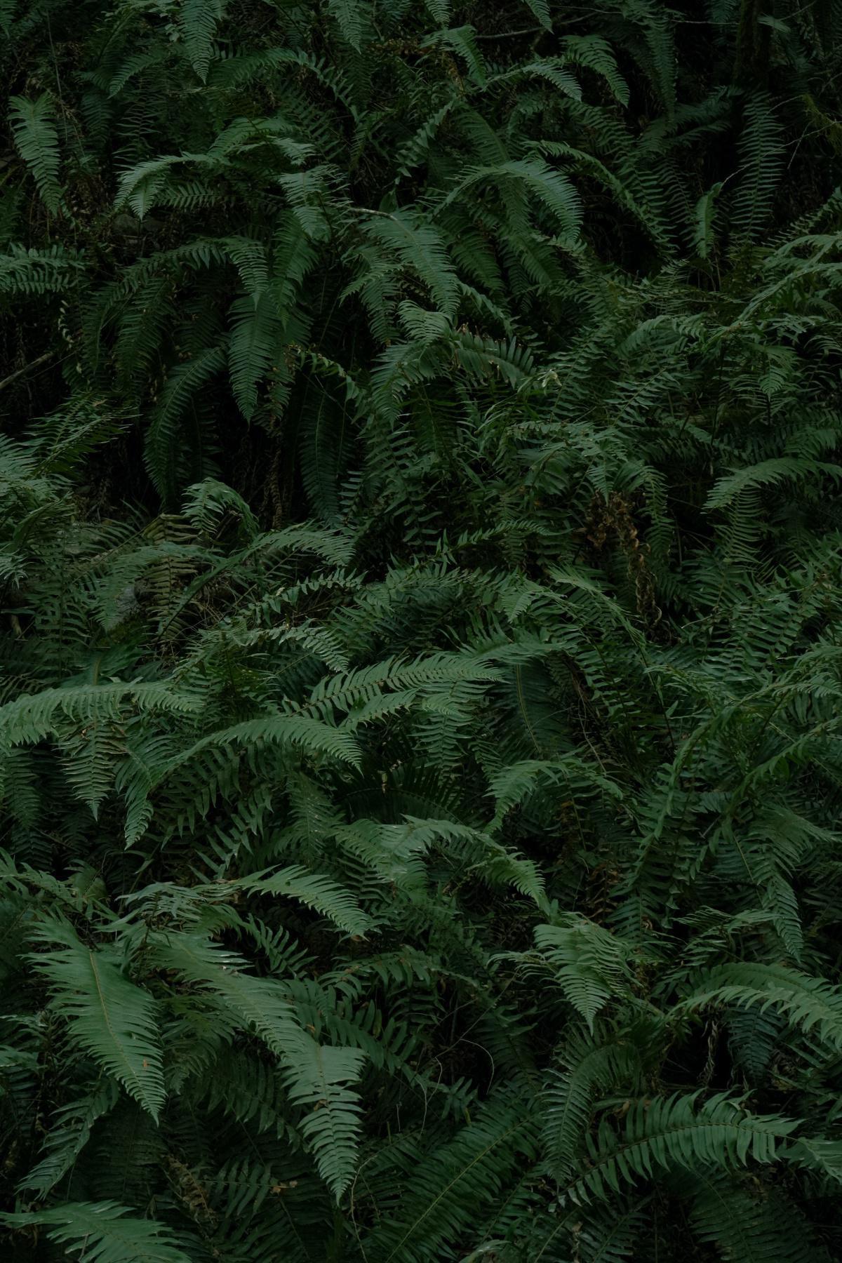 Glauben heißt „nichts wissen“! Glauben heißt „nichts wissen“!