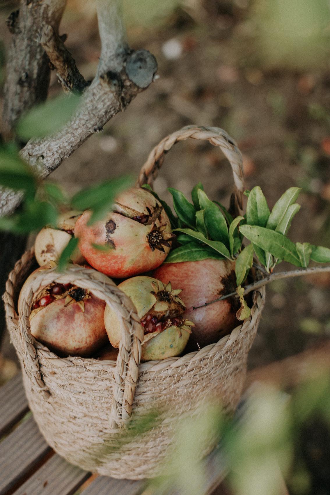 Buddha-Blog-Podcast Folge 107 Buddha-Blog-Podcast Folge 107