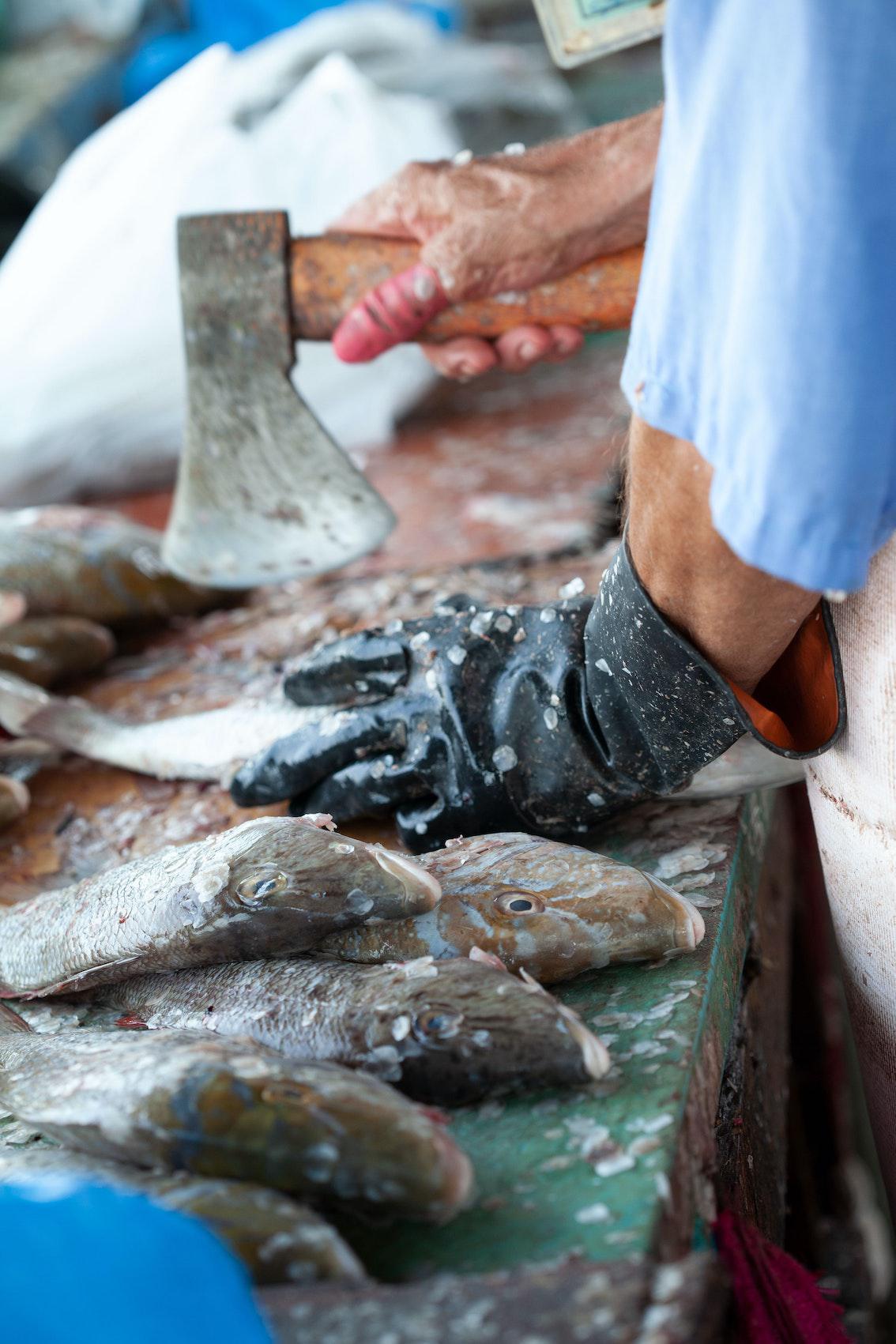 Darf ein Buddhist auch Fleisch oder Fisch essen?