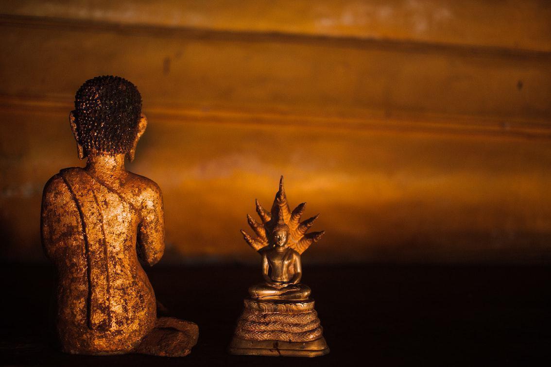 Du bist der Buddha