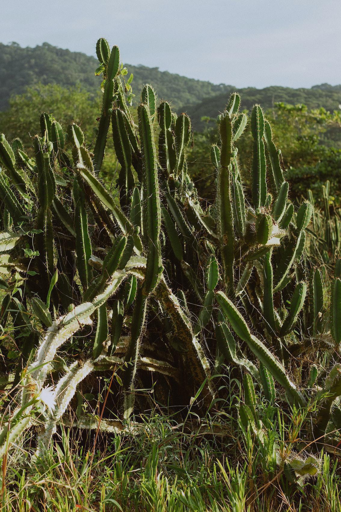 Sich Sorgen machen Sich Sorgen machen