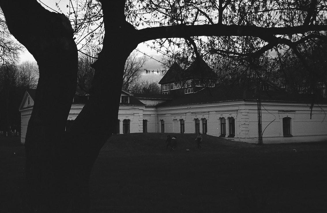 Buddha-Blog-Podcast Folge 132 Buddha-Blog-Podcast Folge 132