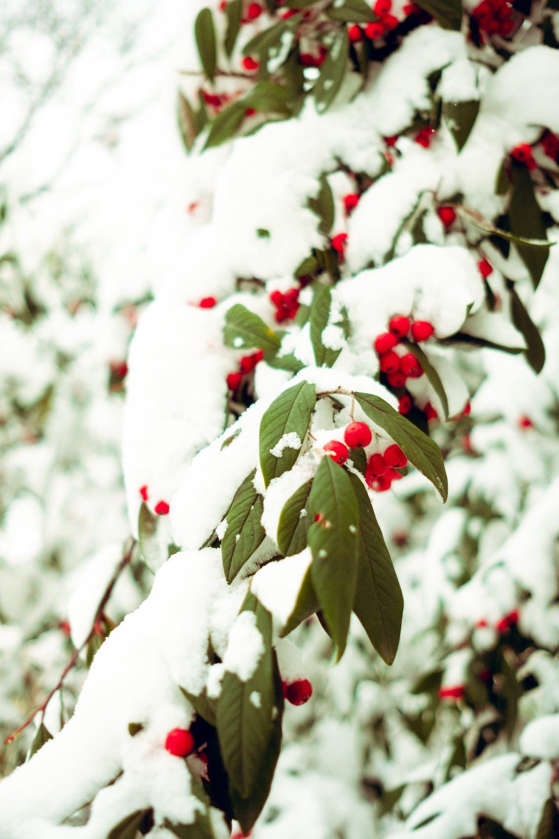 Aufbau von Widerstandsfähigkeit und mentaler Stärke Teil 1 Aufbau von Widerstandsfähigkeit und mentaler Stärke Teil 1