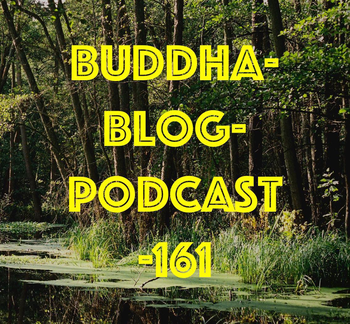 Buddha-Blog-Podcast Folge 161