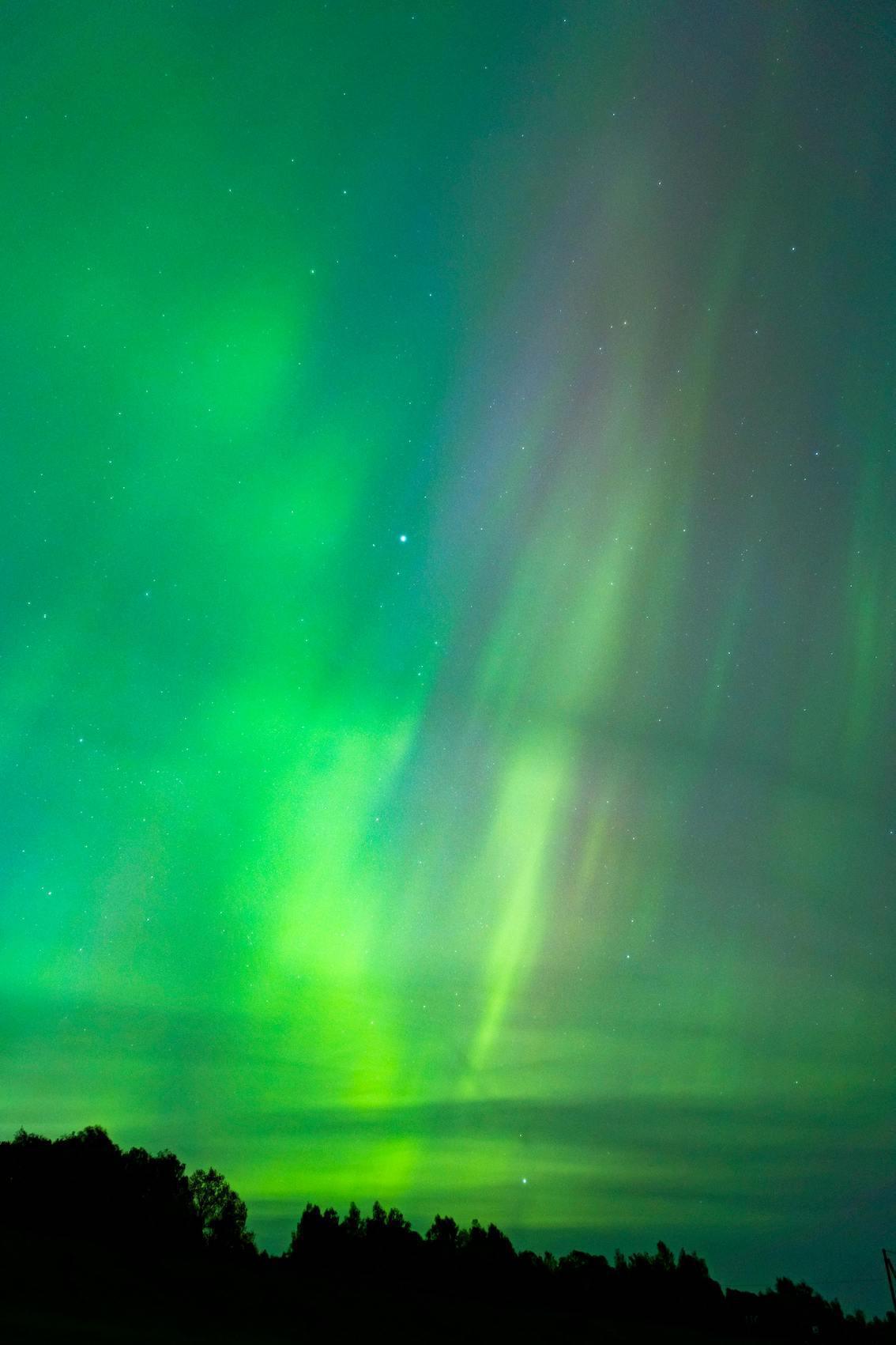 Gespaltene Wahrnehmung Gespaltene Wahrnehmung