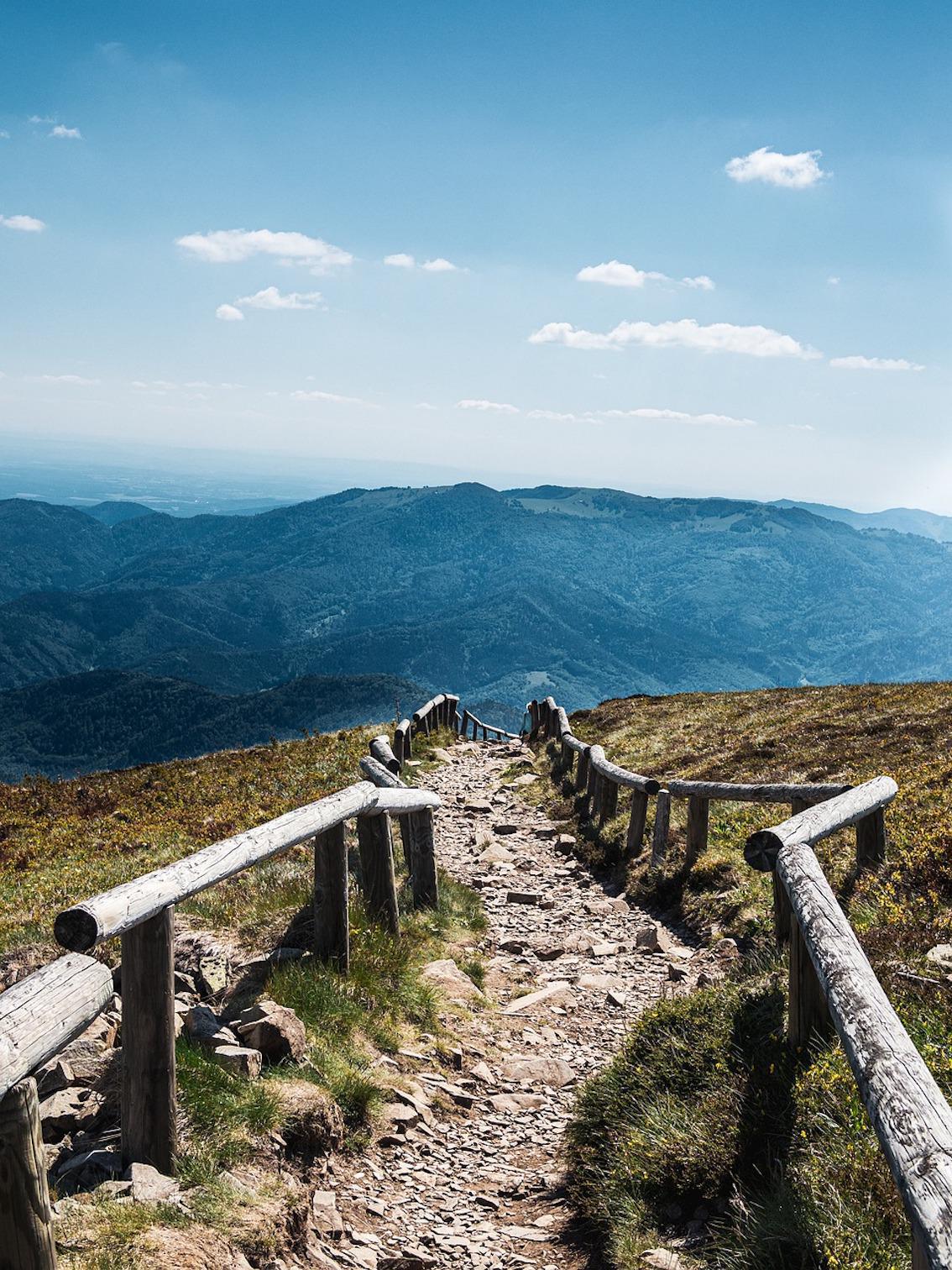 Die einzigartige Lehre Buddhas: Ein Pfad zur wahren Erleuchtung Die einzigartige Lehre Buddhas: Ein Pfad zur wahren Erleuchtung