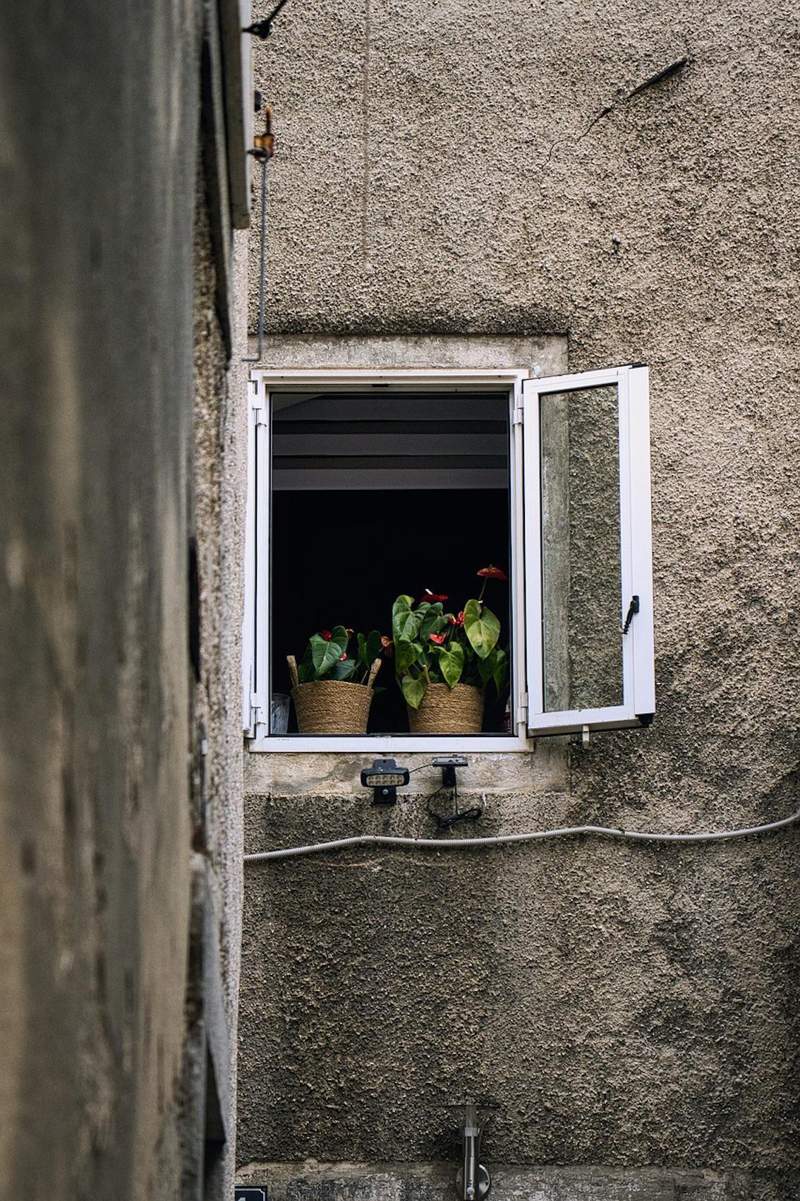 Die 6 Fenster des Menschen